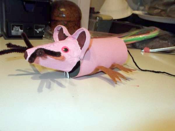 Pink egg box mouse