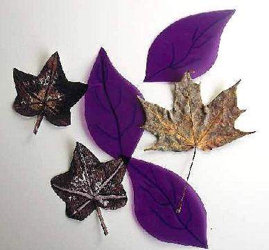 purple leaves