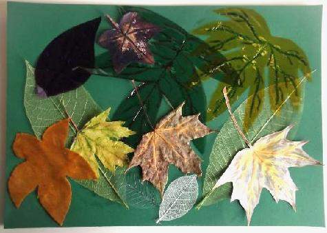 leaf collage with green background