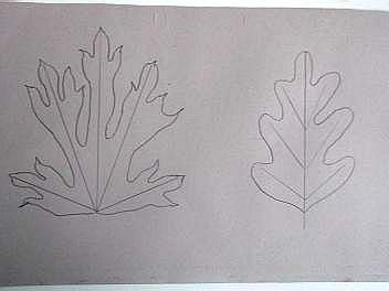 Leafproj2