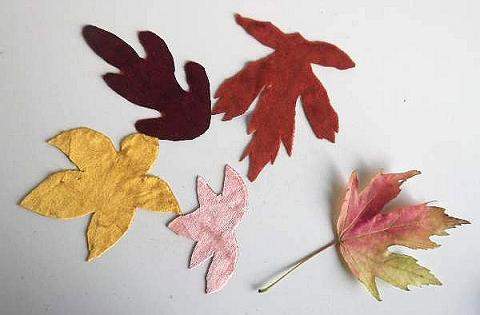 Leaves for collage